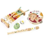 Coffret musical JANOD