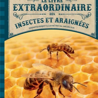Le livre Extraordinaire des Insectes et Araignées