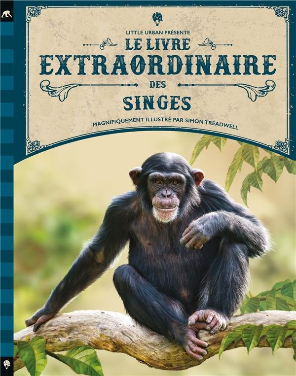 Le Livre Extraordinaire des Singes