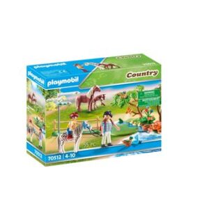 Playmobil Country
