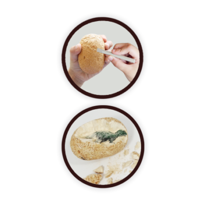 Œufs de Dino Maxi pack BUKI