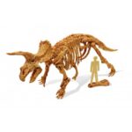Dinokit Tricératops BUKI