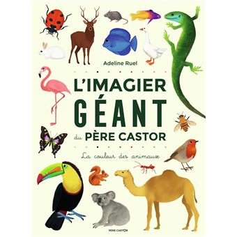 L'imagier Géant Père Castor : La couleurs des animaux