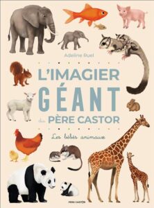 L'imagier Géant Père Castor : Les bébés animaux