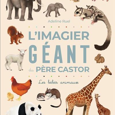 L'imagier Géant Père Castor : Les bébés animaux