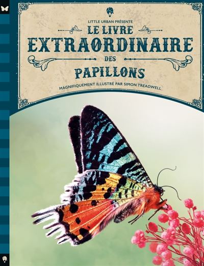 Le Livre Extraordinaire des Papillons