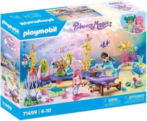 Playmobil  Princesse magic