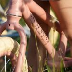 Draisienne LITTLE DUTCH