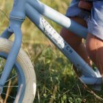 Draisienne LITTLE DUTCH