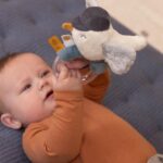 Anneau hochet mouette LITTLE DUTCH