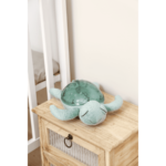 Tortue veilleuse CLOUD-B