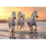 Puzzle XL 500 pièces Chevaux en Camargue CALYPTO