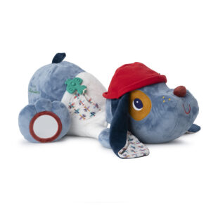 Grand chien découvertes Jules LILLIPUTIENS