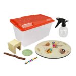 Maison des escargots BUKI