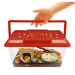 Maison des escargots BUKI