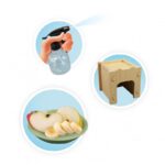 Maison des escargots BUKI