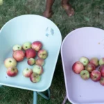 Brouette LITTLE DUTCH