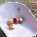 Brouette LITTLE DUTCH