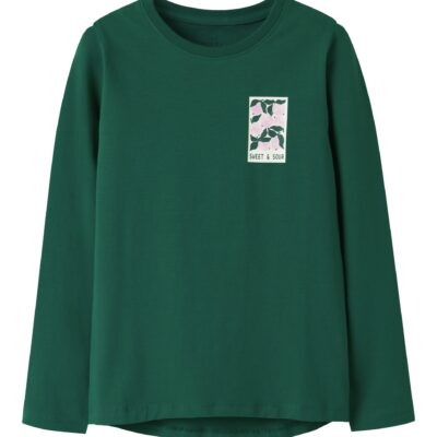 T-shirt manches longues NAME IT