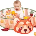 Air d&rsquo;éveil 3 en 1 LUDI