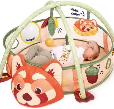 Air d'éveil 3 en 1 LUDI