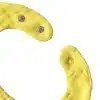 Lou The Lemon Bavoir OLI&CAROL - Thumbnail Image 3