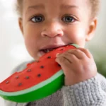 Wally Anneau Dentition Bébé OLI&CAROL