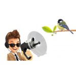 Amplificateur sonore BUKI