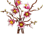 Lego Botanicals Magnolia