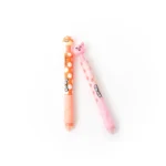 Set de 2 stylos effaçables MR.WONDERFUL