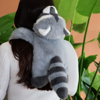 PodColl Raton laveur HISTOIRE D’OURS