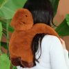 PodColl Capibara HISTOIRE D'OURS - Thumbnail Image 3