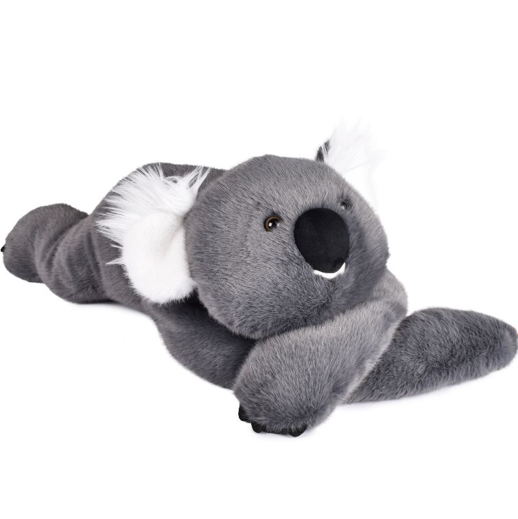 PodColl Koala HISTOIRE D’OURS