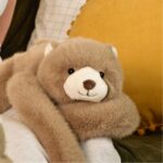 PodColl ours HISTOIRE D’OURS