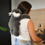 PodColl Koala HISTOIRE D’OURS