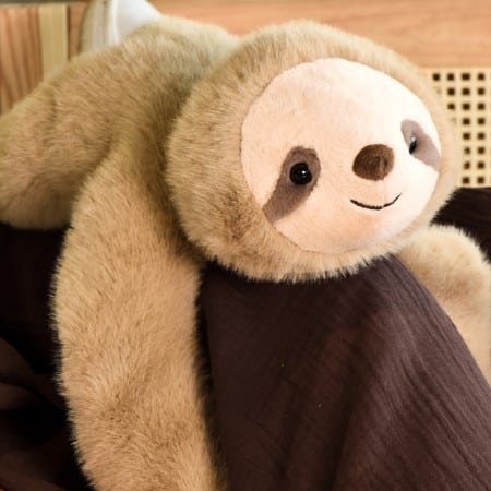PodColl Paresseux HISTOIRE D’OURS – Image 3