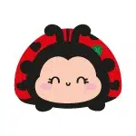 Coccinelle