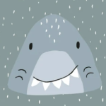 Requin