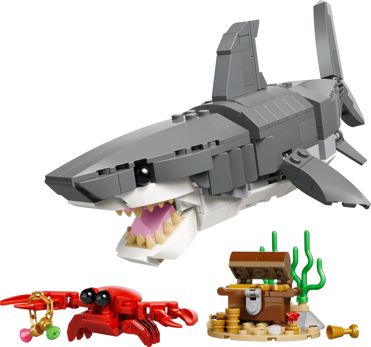 Creator Le redoutable requin et le coffre au trésor – Image 2