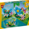 Creator Animaux sauvages : le colibri coloré - Thumbnail Image 1