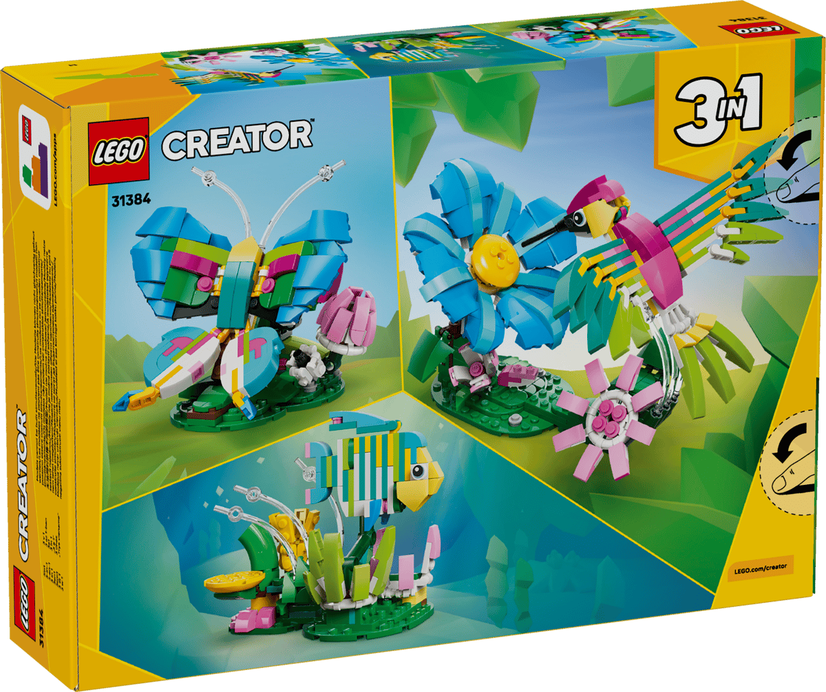 Creator Animaux sauvages : le colibri coloré – Image 1