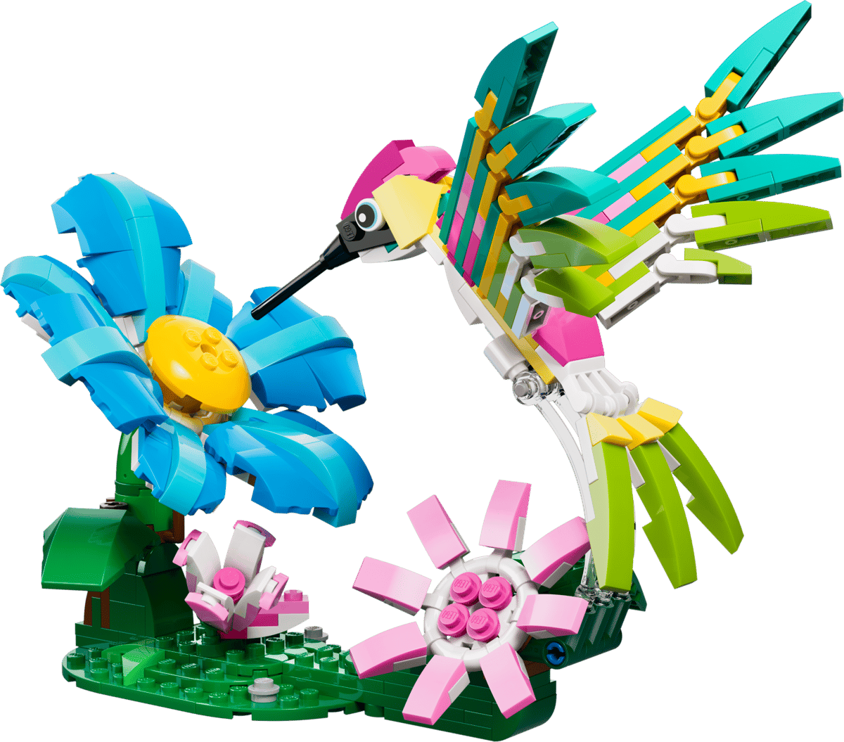 Creator Animaux sauvages : le colibri coloré – Image 2