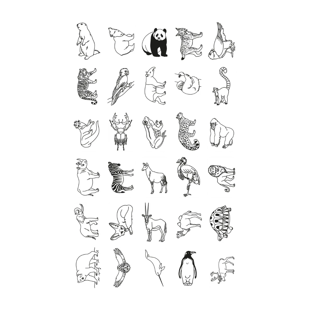 Kidydraw Tablette à dessin animaux autours du monde – Image 2