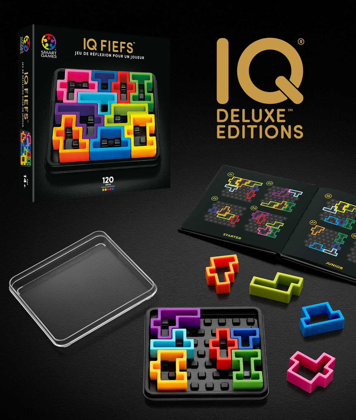 Jeu de réflexion IQ fiefs – Image 4